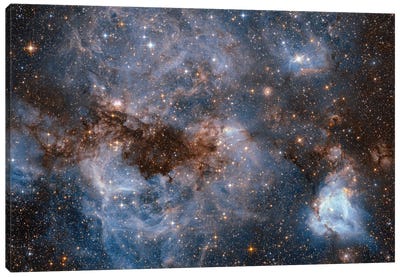 Maelstrom Of Glowing Gas And Dark Dust, Papillon Nebula, N159 Canvas Art Print - Galaxy Art