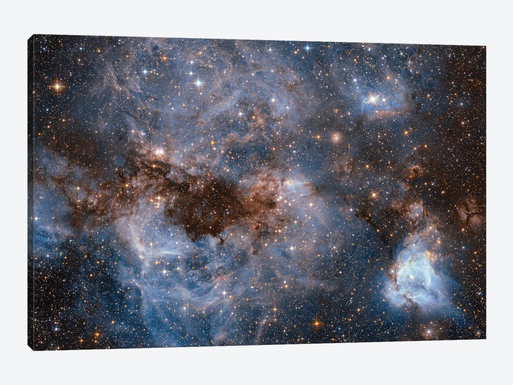 Maelstrom Of Glowing Gas And Dark Dust, Papillon Nebula, N159 by NASA 1-piece Canvas Wall Art