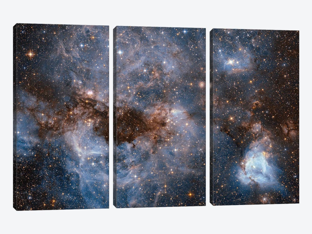 Maelstrom Of Glowing Gas And Dark Dust, Papillon Nebula, N159 by NASA 3-piece Canvas Wall Art