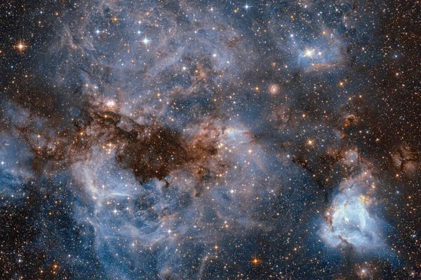 NASA: Maelstrom Of Glowing Gas And Dark Dust, Papillon Nebula, N159 by NASA