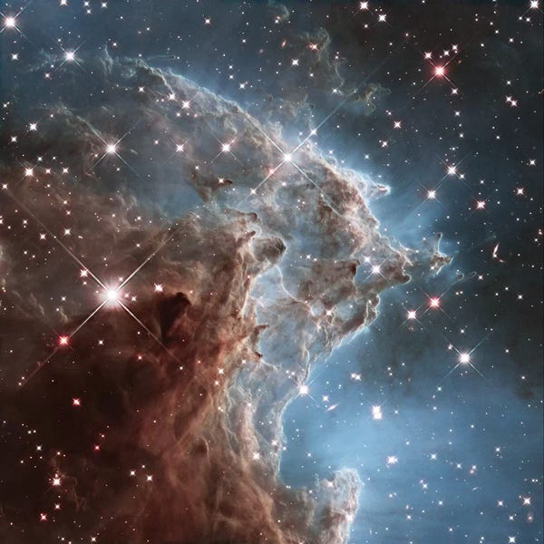 Kids Astronomy & Space Art: NGC 2174 (Monkey Head Nebula) (Hubble Space Telescope 24th Anniversary Image) by NASA