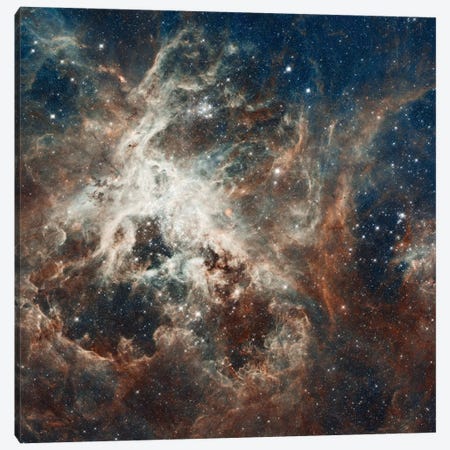 Prolific Star-Forming Region, 30 Doradus (Tarantula Nebula) (Hubble Space Telescope 22nd Anniversary Image) Canvas Print #NAS47} by NASA Canvas Art Print