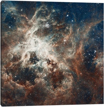 Prolific Star-Forming Region, 30 Doradus (Tarantula Nebula) (Hubble Space Telescope 22nd Anniversary Image) Canvas Art Print - Galaxy Art