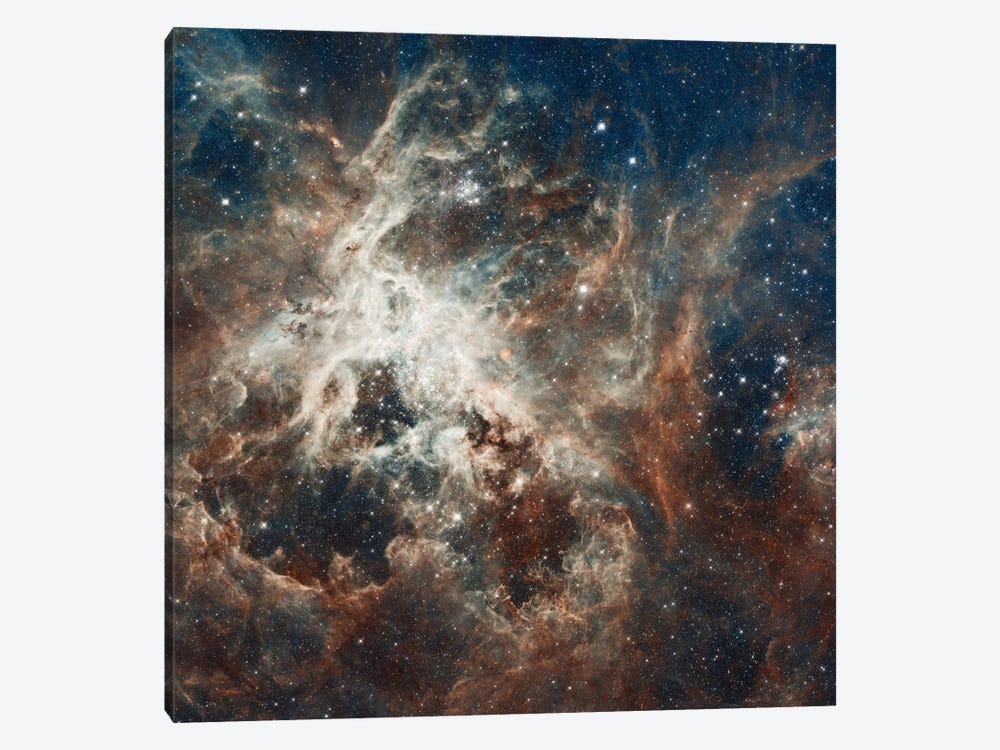 Prolific Star-Forming Region, 30 Doradus (Tarantula Nebula) (Hubble Space Telescope 22nd Anniversary Image) by NASA 1-piece Canvas Art Print
