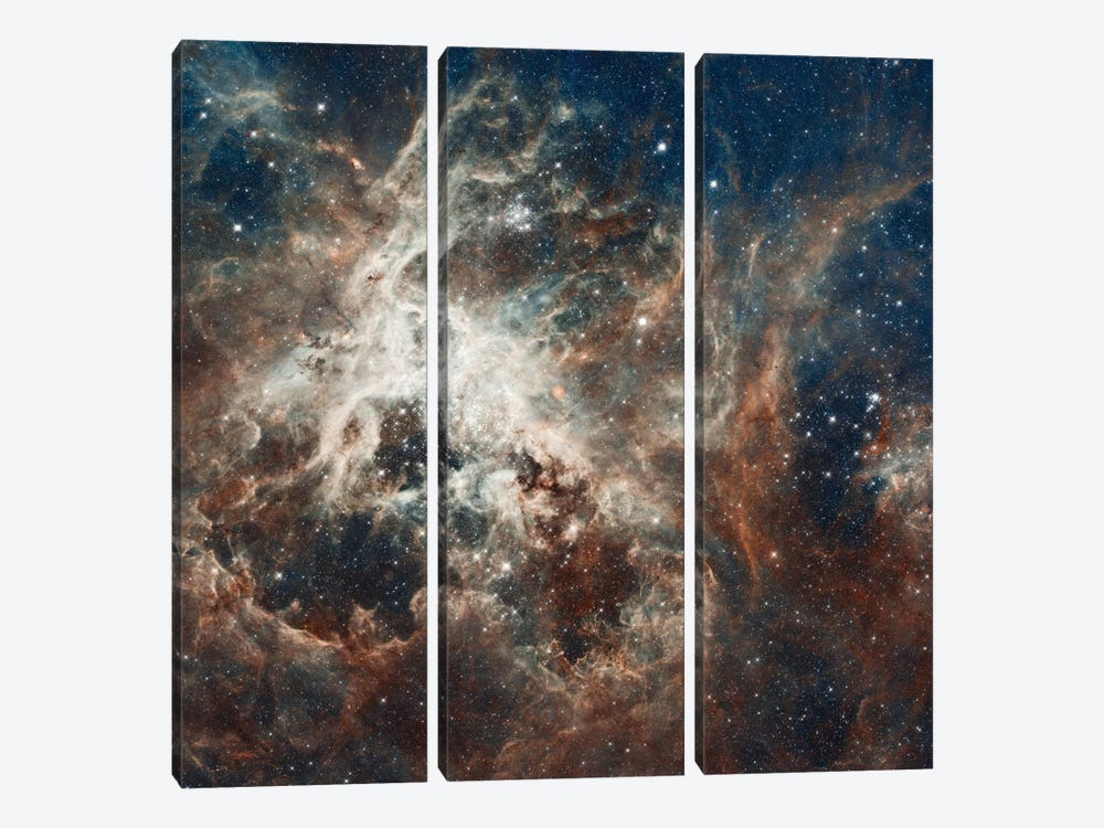Prolific Star-Forming Region, 30 Doradus (Tarantula Nebula) (Hubble Space Telescope 22nd Anniversary Image) by NASA 3-piece Canvas Art Print