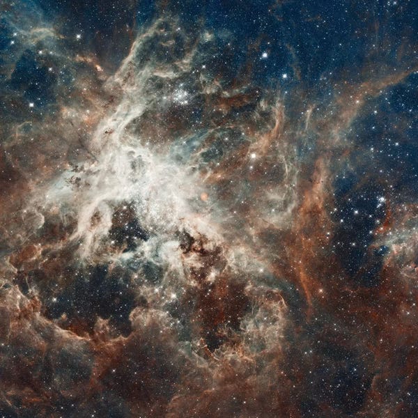 Kids Astronomy & Space Art: Prolific Star-Forming Region, 30 Doradus (Tarantula Nebula) (Hubble Space Telescope 22nd Anniversary Image) by NASA