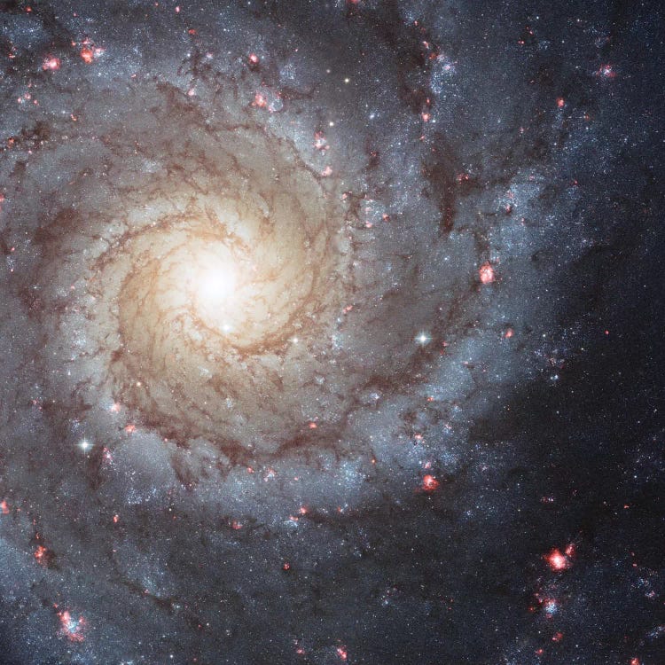 Radiating Hydrogen Clouds, Messier 74 (The Phantom Galaxy)