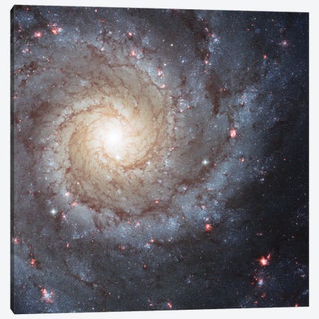 Radiating Hydrogen Clouds, Messier 74 (The Phantom Galaxy) Canvas Print #NAS48} by NASA Canvas Artwork