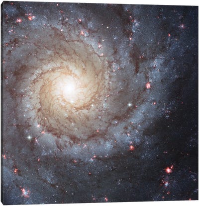 Radiating Hydrogen Clouds, Messier 74 (The Phantom Galaxy) Canvas Art Print - Kids Astronomy & Space Art