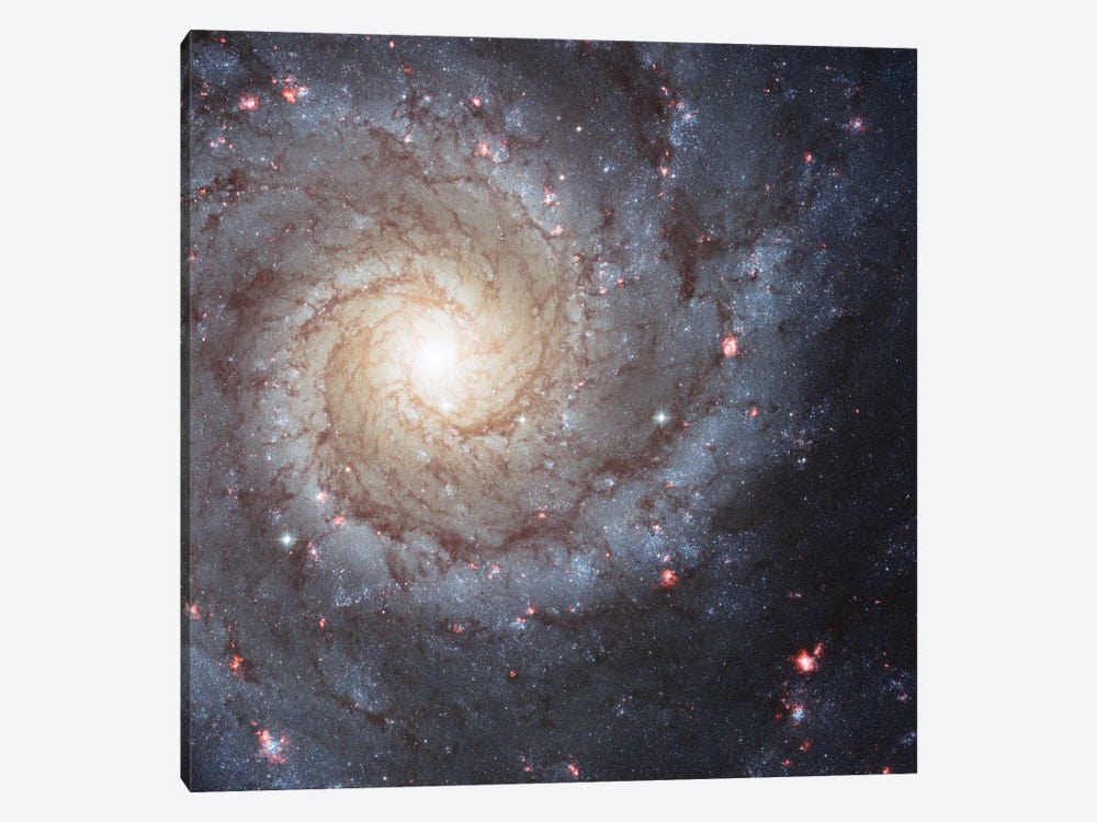 Radiating Hydrogen Clouds, Messier 74 (The Phantom Galaxy) by NASA 1-piece Canvas Art