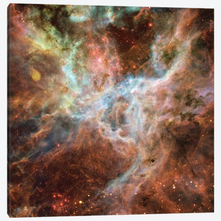 Symphony Of Colours, Hodge 301, R136, Tarantula Nebula Canvas Print #NAS49} by NASA Canvas Wall Art