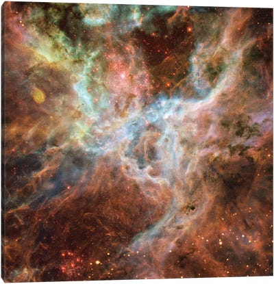 Symphony Of Colours, Hodge 301, R136, Tarantula Nebula Canvas Art Print - Galaxy Art