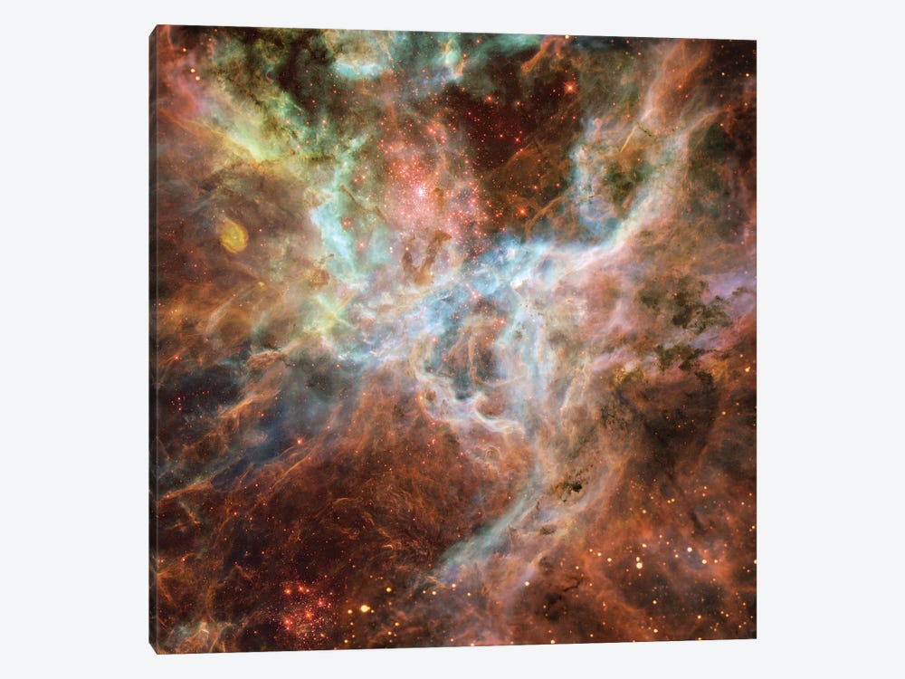 Symphony Of Colours, Hodge 301, R136, Tarantula Nebula by NASA 1-piece Art Print