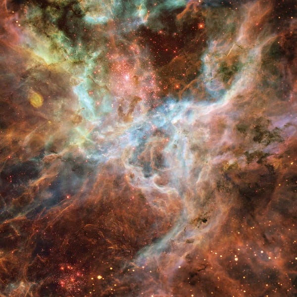 Kids Astronomy & Space Art: Symphony Of Colours, Hodge 301, R136, Tarantula Nebula by NASA