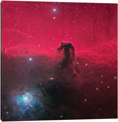 The Magnificent Horse Head Nebula Canvas Art Print - Kids Astronomy & Space Art