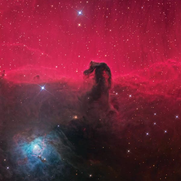 Kids Astronomy & Space Art: The Magnificent Horse Head Nebula by NASA