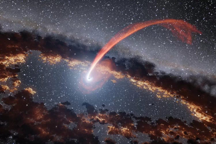 Tidal Disruption Flare (Illustration)