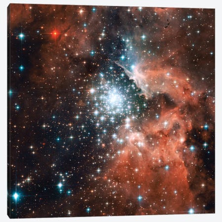 Young Star Cluster, NGC 3603 Nebula Canvas Print #NAS55} by NASA Canvas Wall Art