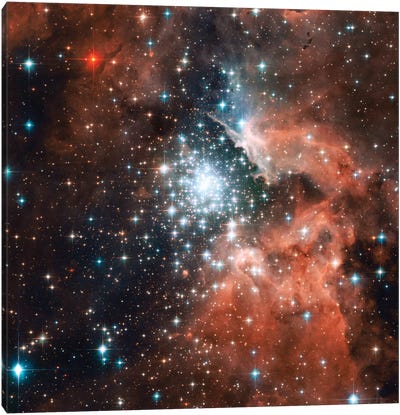 Young Star Cluster, NGC 3603 Nebula Canvas Art Print - Star Art