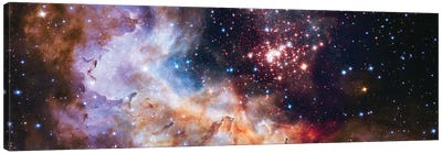 Celestial Illumination Canvas Art Print - NASA
