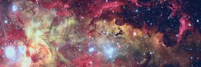 Fire Flowers by NASA canvas print