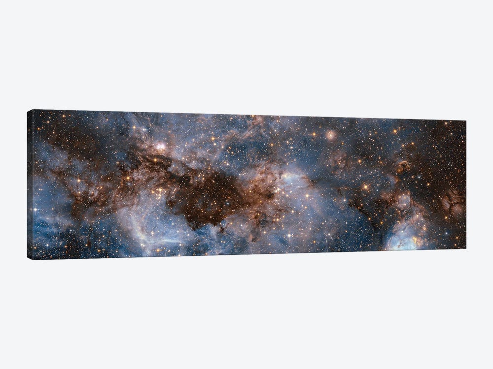 Glowing Stardust by NASA 1-piece Canvas Wall Art