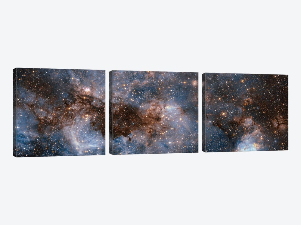 Glowing Stardust by NASA 3-piece Canvas Artwork