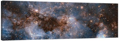 Glowing Stardust Canvas Art Print - Panoramic & Horizontal Wall Art