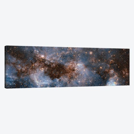 Glowing Stardust Canvas Print #NAS62} by NASA Canvas Art