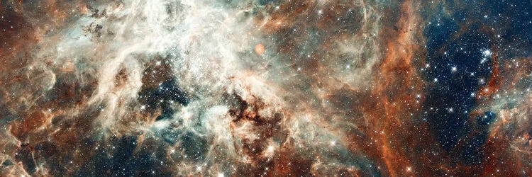 Stardust Flare
