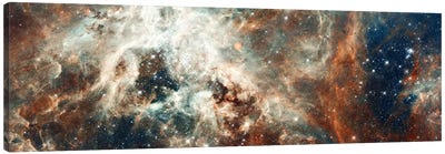 Stardust Flare Canvas Art Print - Panoramic Photography