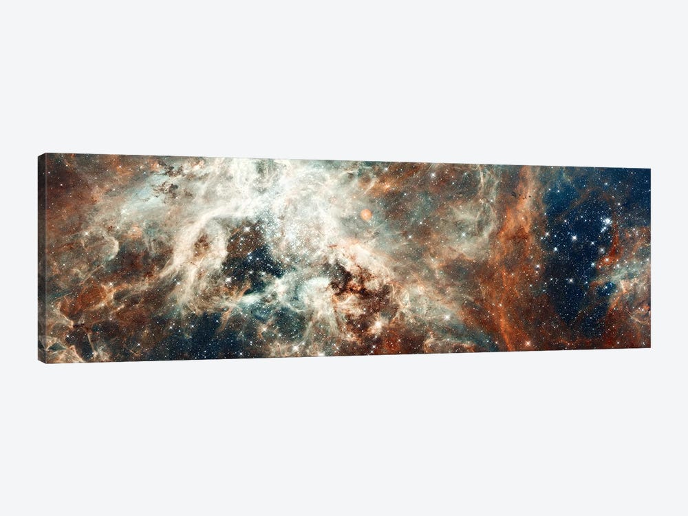 Stardust Flare by NASA 1-piece Canvas Art Print