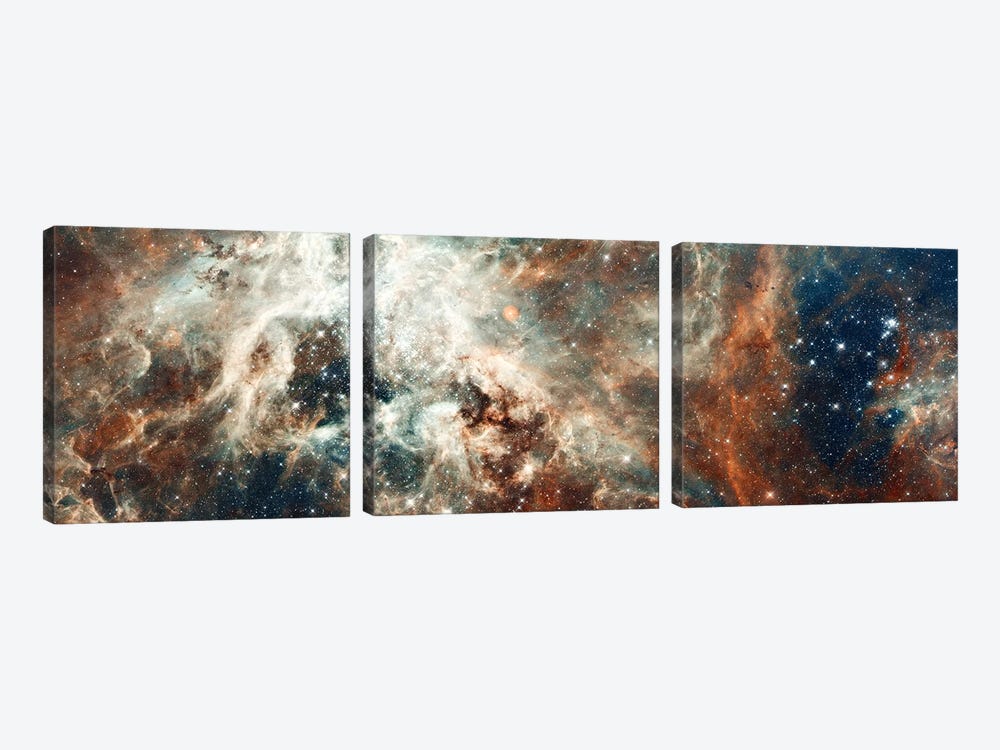 Stardust Flare by NASA 3-piece Canvas Art Print