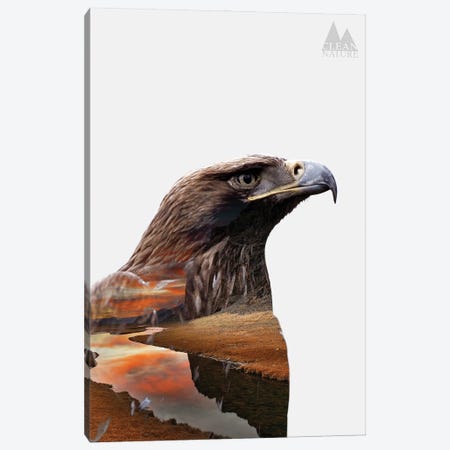 Eagle Canvas Print #NAT4} by Clean Nature Canvas Art Print