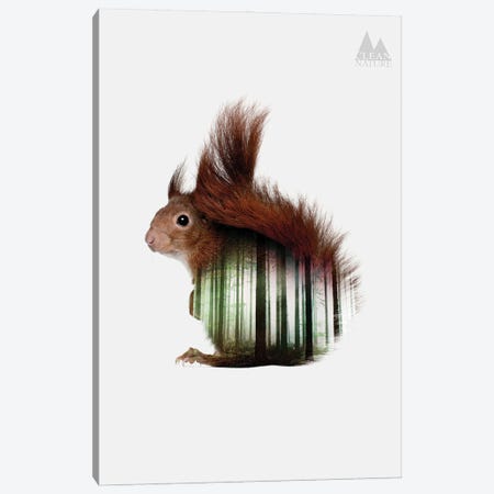 Squirrel Canvas Print #NAT6} by Clean Nature Canvas Art Print