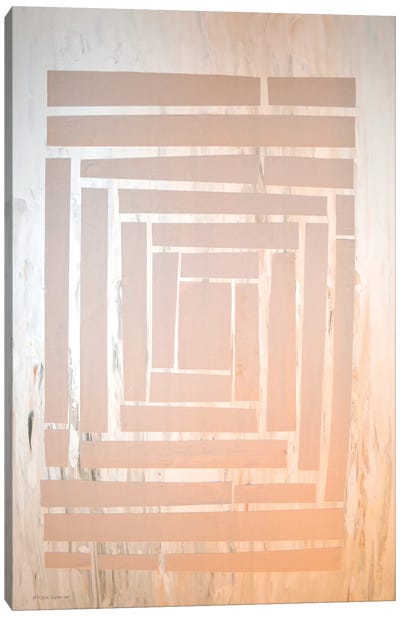 The Maze II Canvas Art Print