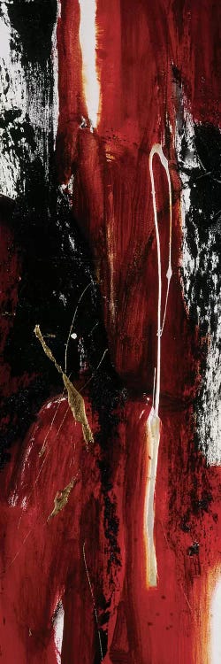 Tango II by Natasha Barnes canvas print