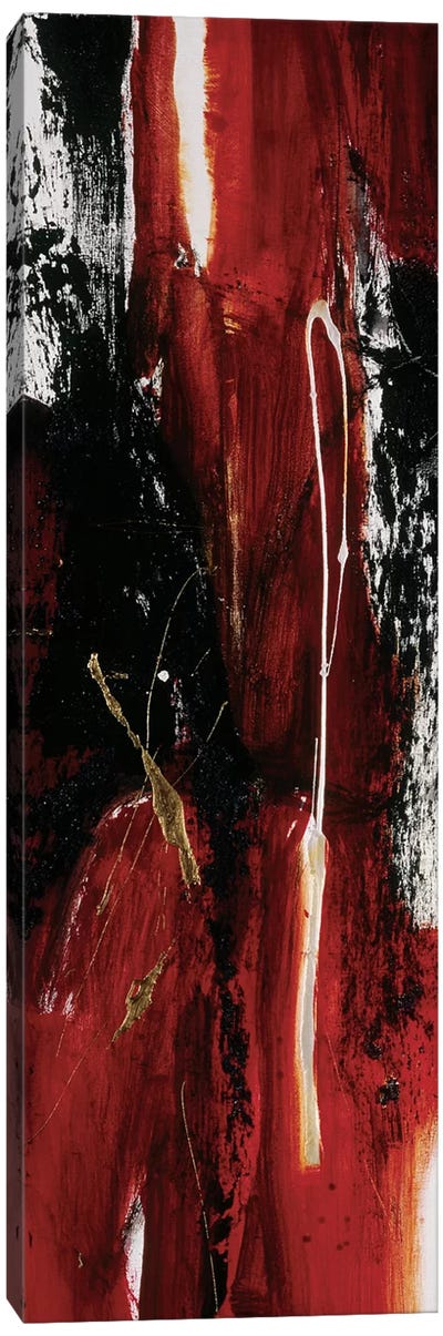 Tango II Canvas Art Print - Black, White & Red Art