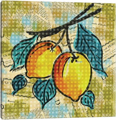 Fashion Fruit II Canvas Art Print - Lemon & Lime Art