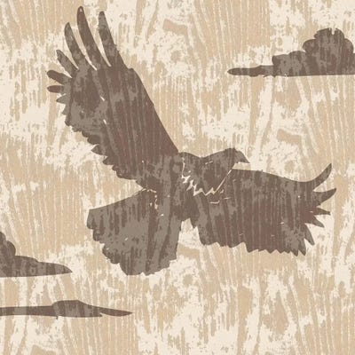 Spirit Lodge I by Nicholas Biscardi framed wall art