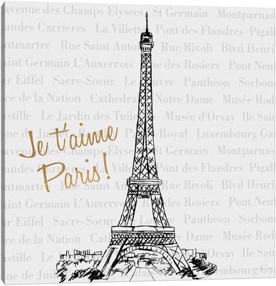 Travel Pack II Canvas Art Print - Paris Typography
