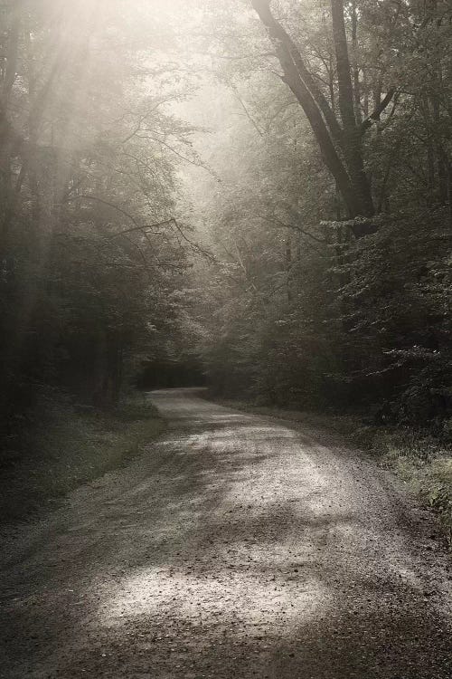 Back Country Road by Nicholas Bell Photography wall art
