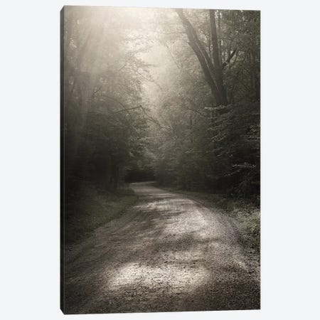 Back Country Road Canvas Print #NBP1} by Nicholas Bell Photography Art Print