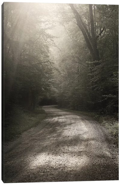 Back Country Road Canvas Art Print - Fine Art Photography