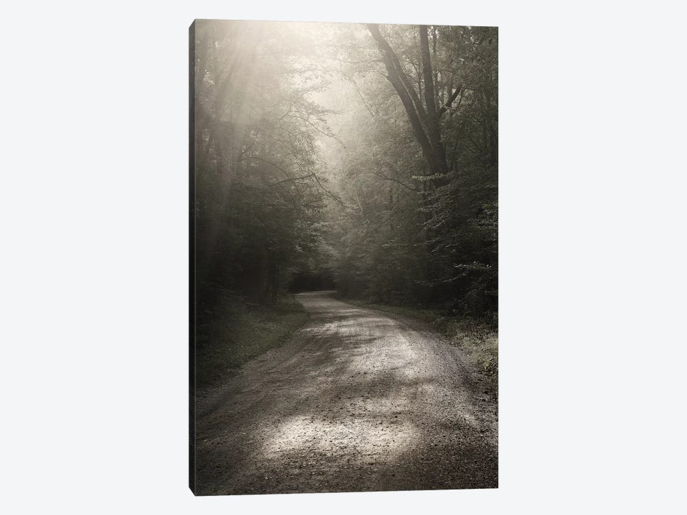 Back Country Road by Nicholas Bell Photography 1-piece Canvas Art