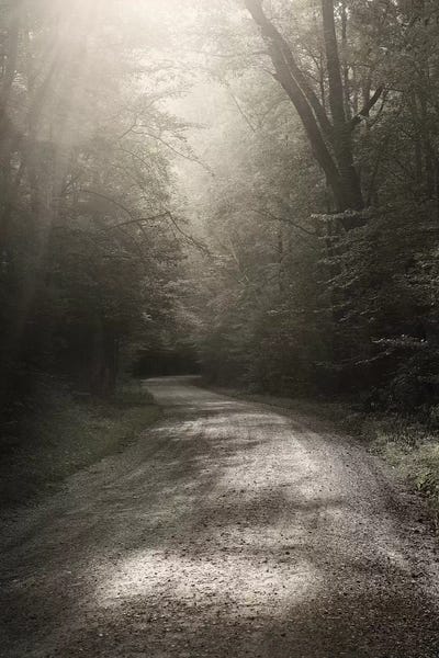Trails, Paths & Roads: Back Country Road by Nicholas Bell Photography