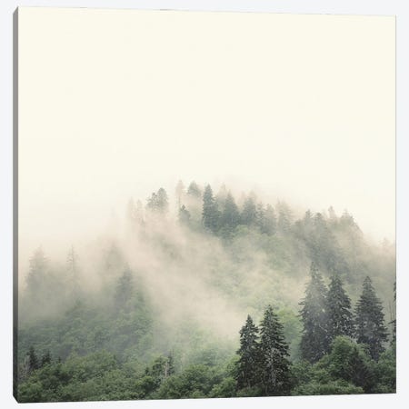 Elevation No. 2, Smoky Mountains Canvas Print #NBP6} by Nicholas Bell Photography Canvas Art