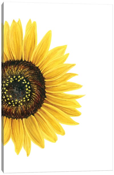 Sunflower Canvas Art Print - Minimalist Flowers