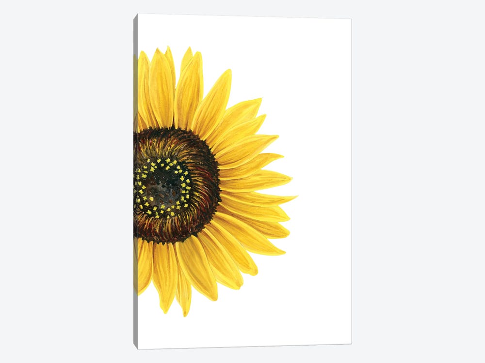 Sunflower by Nicole Basque 1-piece Canvas Art