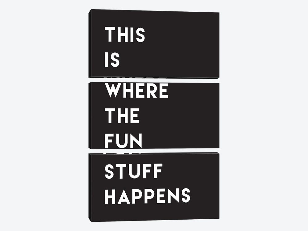 This Is Where The Fun Stuff Happens Classic by Nicole Basque 3-piece Canvas Artwork